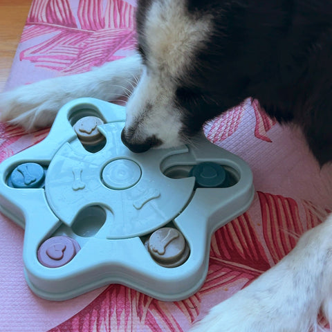 Juguete Interactivo Dispensador para Perros Estrella