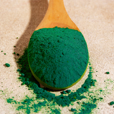 Spirulina en Polvo 100 gr